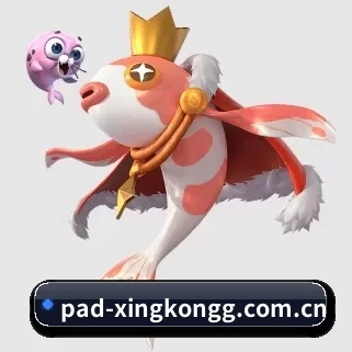 国际化进程 | xingkong