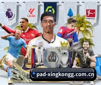 pad-xingkongg.com.cn APP